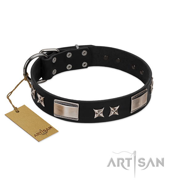 Incredible dog collar of full grain leather