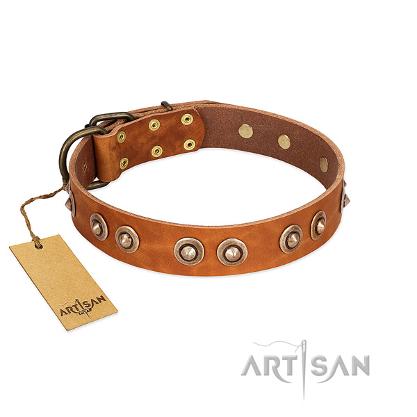 Durable hardware on leather dog collar for your pet