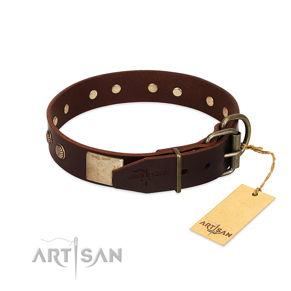 Durable hardware on daily use dog collar