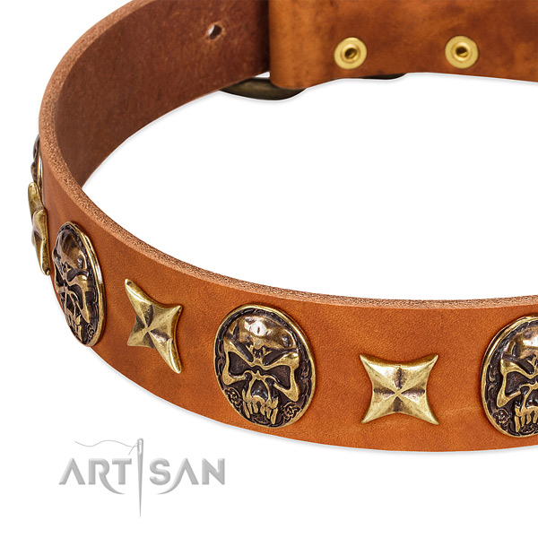 Corrosion resistant adornments on full grain genuine leather dog collar for your canine