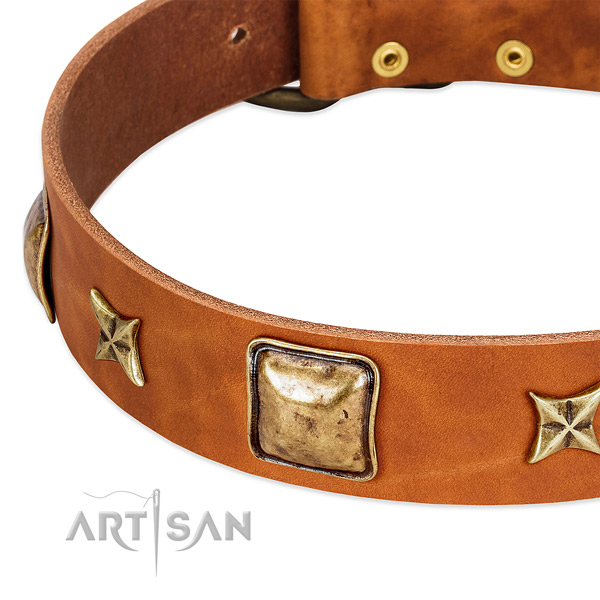 Corrosion proof embellishments on genuine leather dog collar for your pet