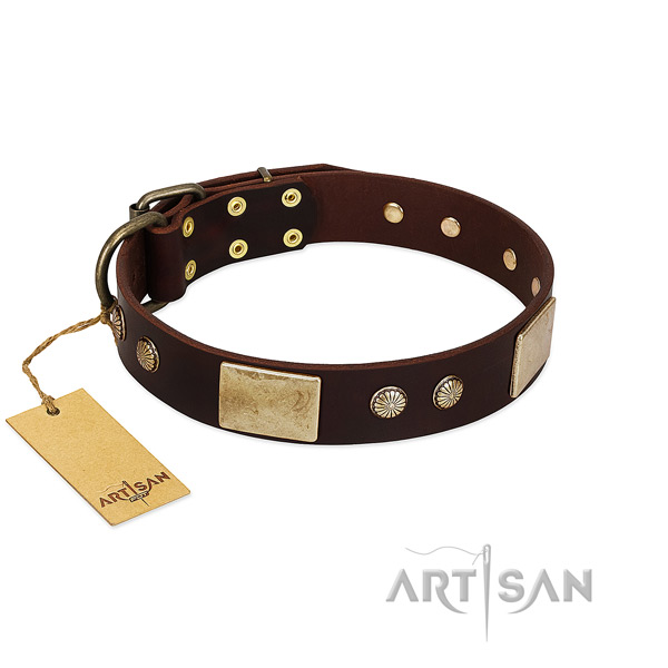 Adjustable full grain natural leather dog collar for stylish walking your four-legged friend