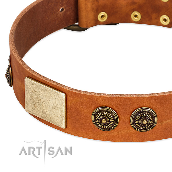 Stunning dog collar handmade for your handsome pet
