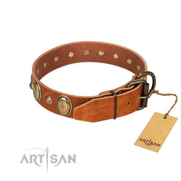 Significant natural leather dog collar with durable D-ring