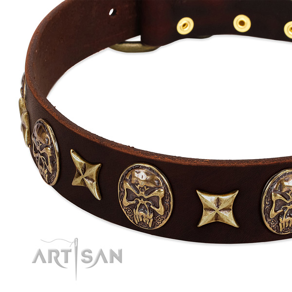 Rust-proof decorations on genuine leather dog collar for your canine