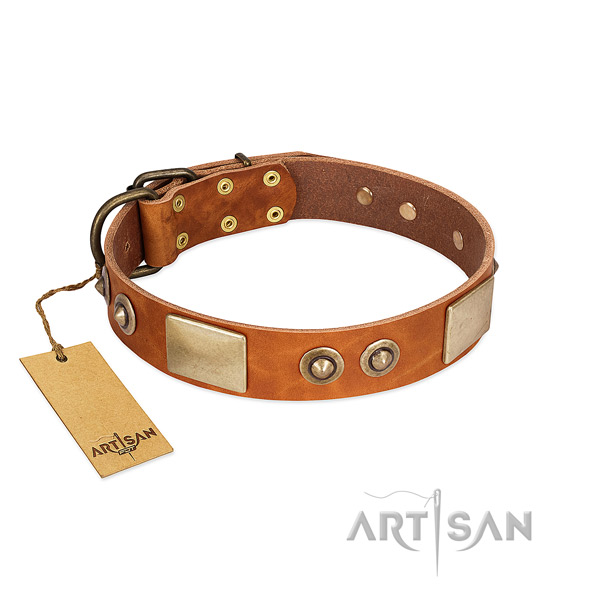 Easy wearing genuine leather dog collar for walking your dog