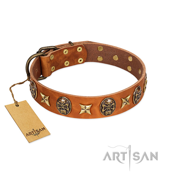 Inimitable full grain natural leather collar for your dog