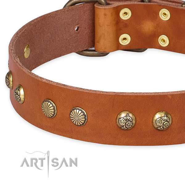 Full grain genuine leather collar with durable traditional buckle for your stylish doggie
