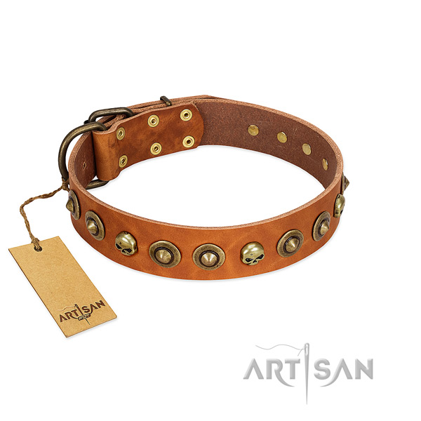 Genuine leather collar with unique embellishments for your four-legged friend