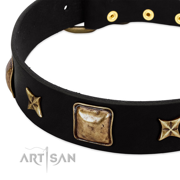 Natural leather dog collar with extraordinary embellishments