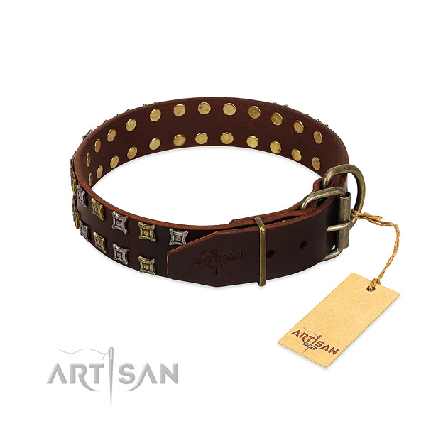 High quality natural leather dog collar created for your canine