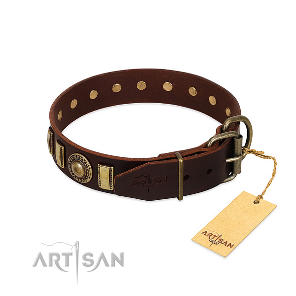 Designer natural leather dog collar with corrosion proof fittings