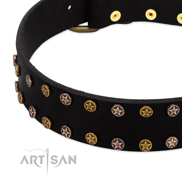 Inimitable adornments on natural leather collar for your canine