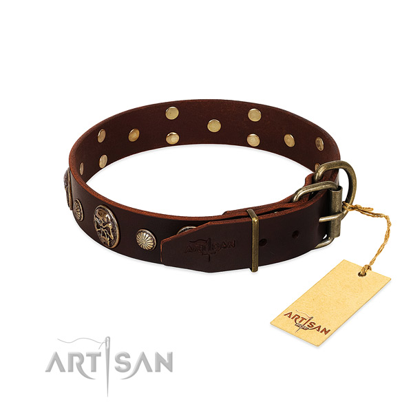 Rust resistant embellishments on stylish walking dog collar