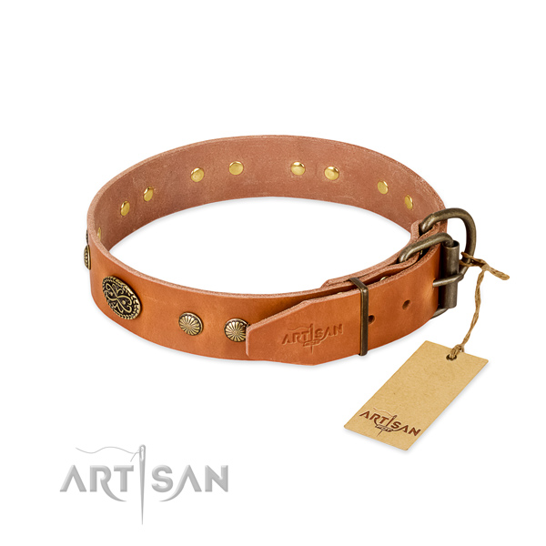 Corrosion proof embellishments on full grain genuine leather dog collar for your four-legged friend