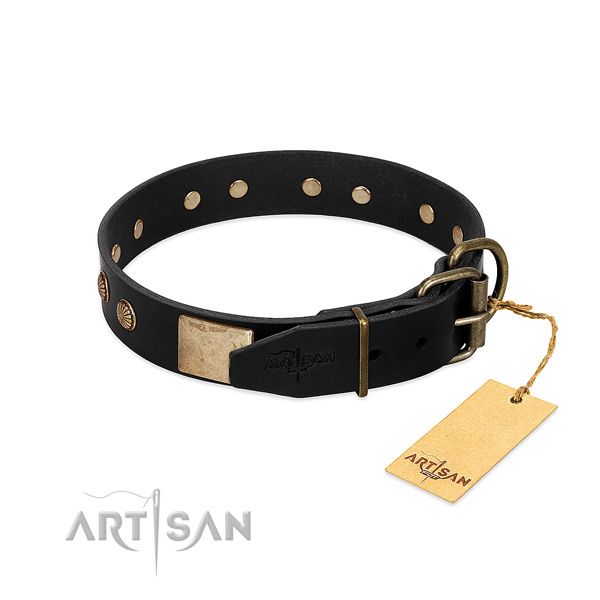 Durable fittings on stylish walking dog collar