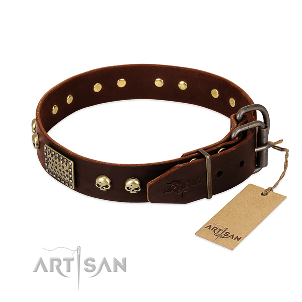 Durable hardware on handy use dog collar