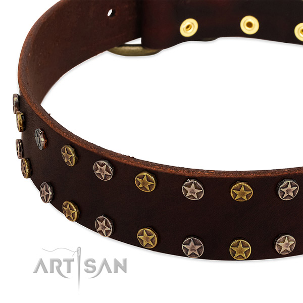Everyday use full grain natural leather dog collar with stylish studs