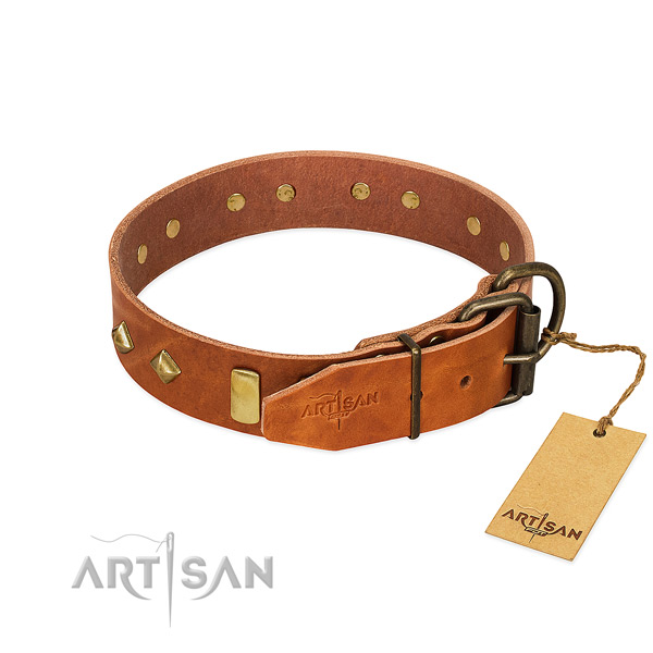 Comfy wearing genuine leather dog collar with top notch studs