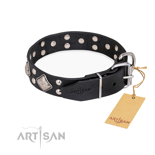 Full grain natural leather dog collar with exquisite corrosion resistant embellishments