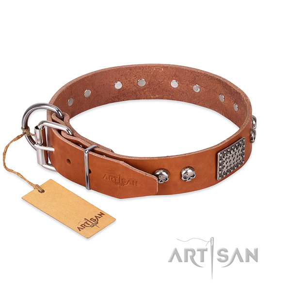 Durable buckle on stylish walking dog collar