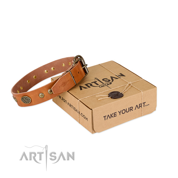 Corrosion proof adornments on Genuine leather dog collar for your canine