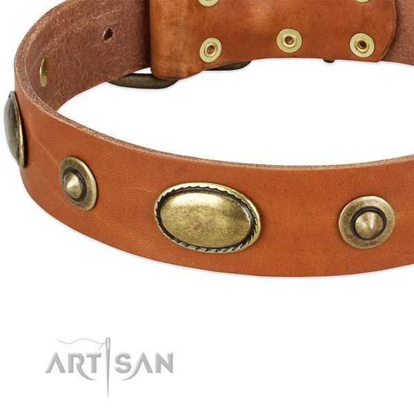 Rust resistant D-ring on leather dog collar for your doggie