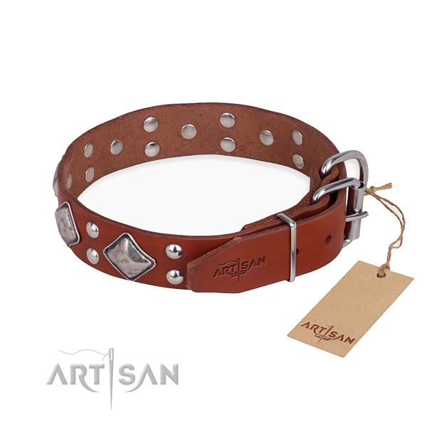 Full grain genuine leather dog collar with amazing corrosion proof adornments