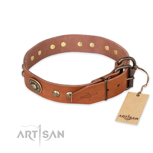 Durable buckle on full grain genuine leather collar for walking your four-legged friend