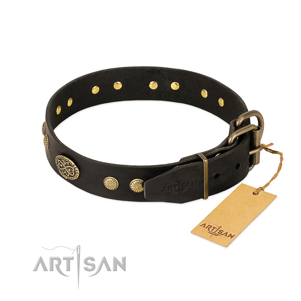 Rust resistant buckle on genuine leather dog collar for your canine