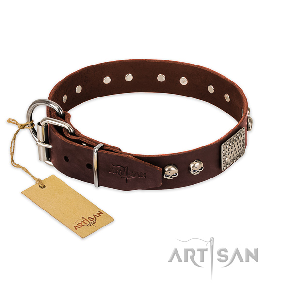 Strong buckle on daily use dog collar