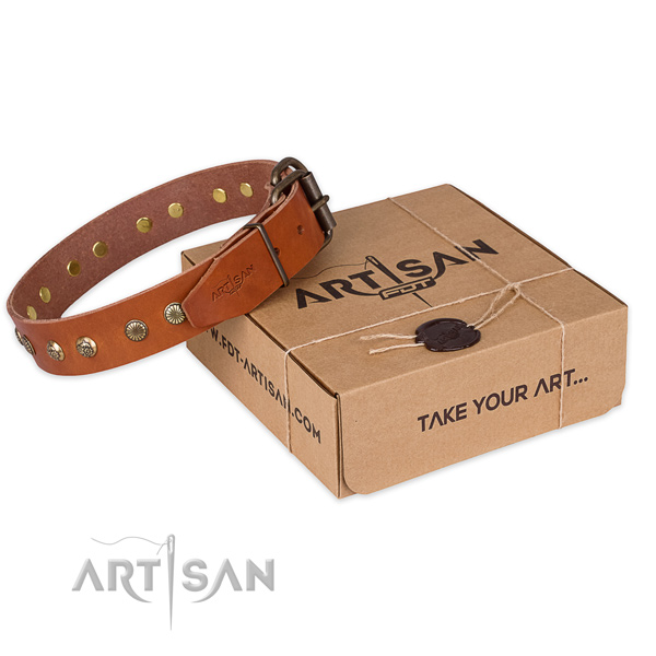 Durable fittings on full grain natural leather collar for your stylish doggie