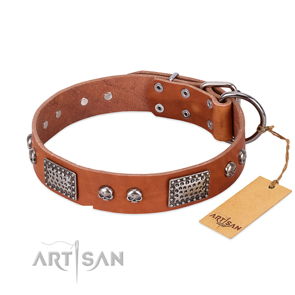 Easy wearing full grain genuine leather dog collar for basic training your canine