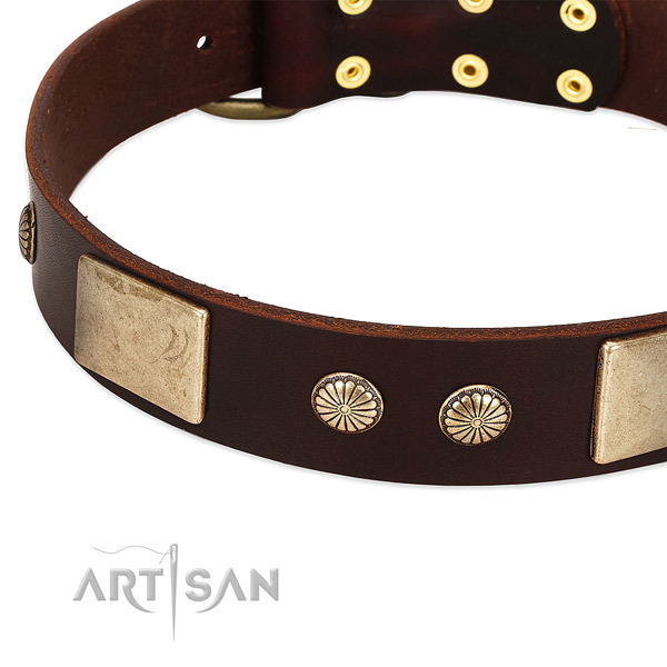 Durable decorations on genuine leather dog collar for your pet