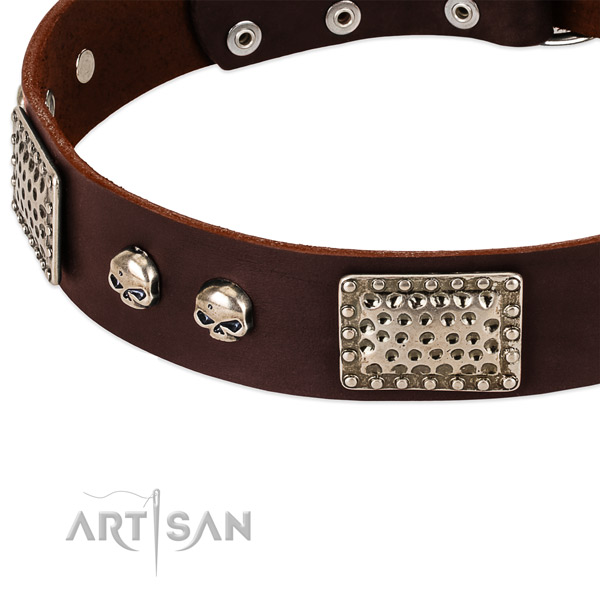 Rust-proof buckle on full grain genuine leather dog collar for your dog