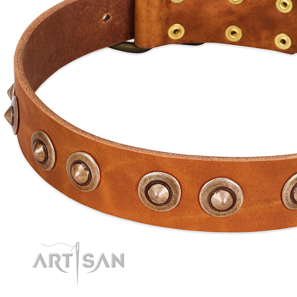 Durable embellishments on full grain natural leather dog collar for your doggie