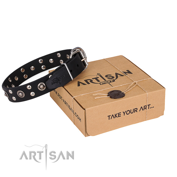 Basic training dog collar with Awesome rust resistant studs