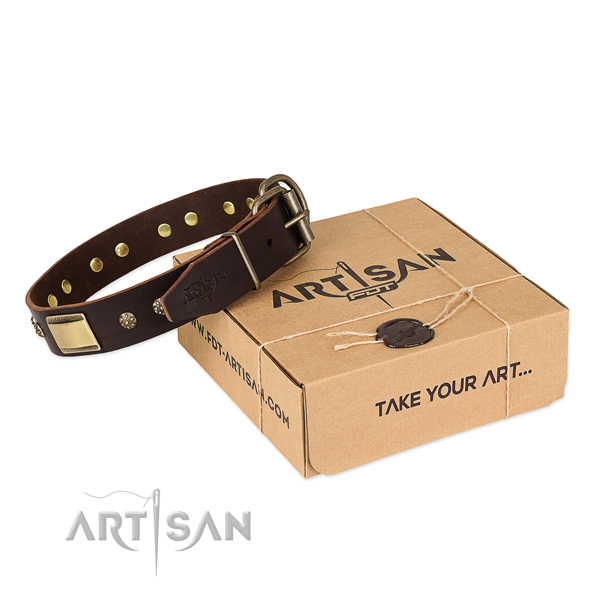 Remarkable leather collar for your impressive four-legged friend