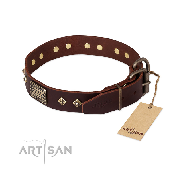 Leather dog collar with reliable buckle and studs