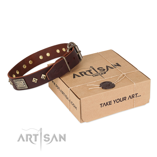 Stylish full grain leather collar for your beautiful four-legged friend