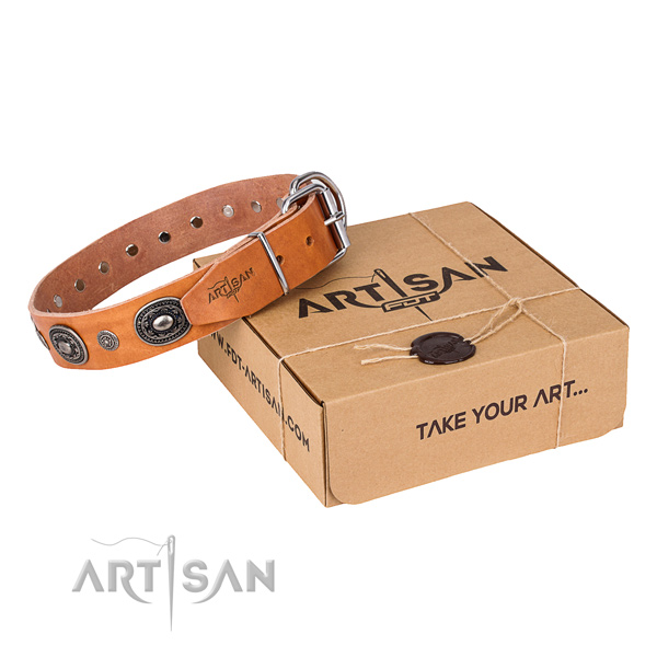Quality full grain natural leather dog collar made for daily walking