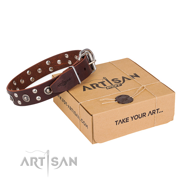 Handy use dog collar with Trendy rust-proof embellishments