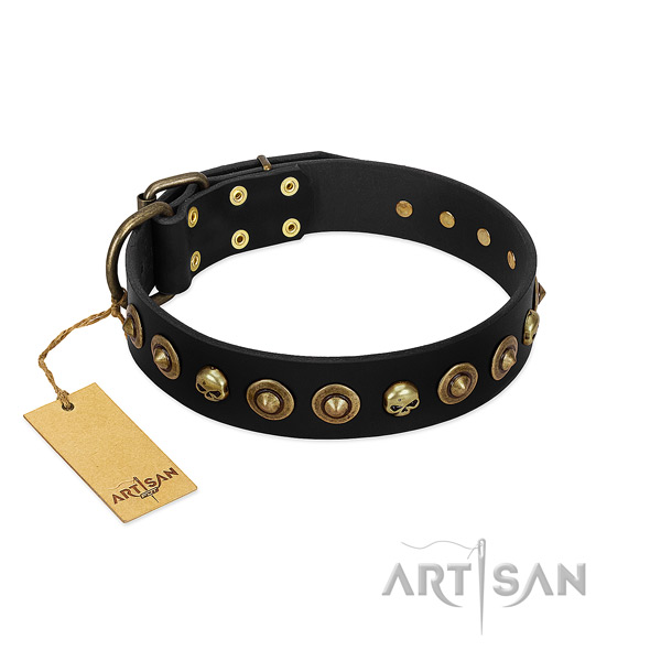 Genuine leather collar with impressive adornments for your doggie