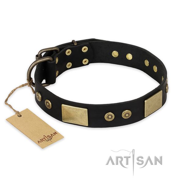 Trendy full grain genuine leather dog collar for everyday use