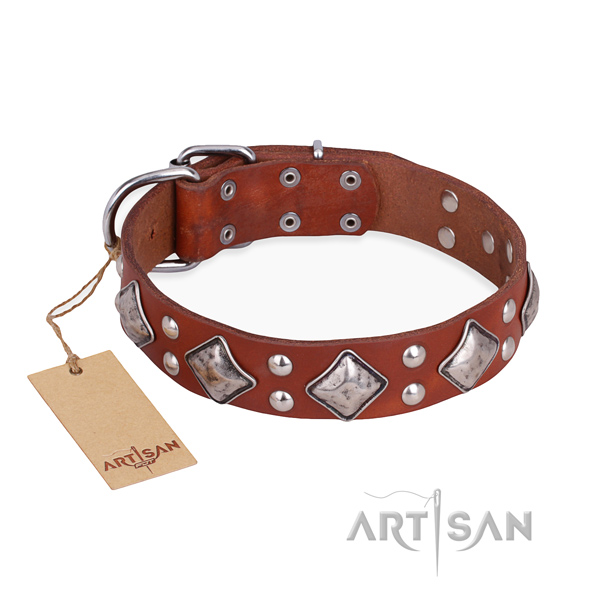 Daily use convenient dog collar with durable buckle