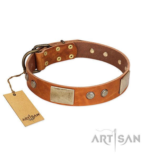 Adjustable full grain natural leather dog collar for basic training your dog