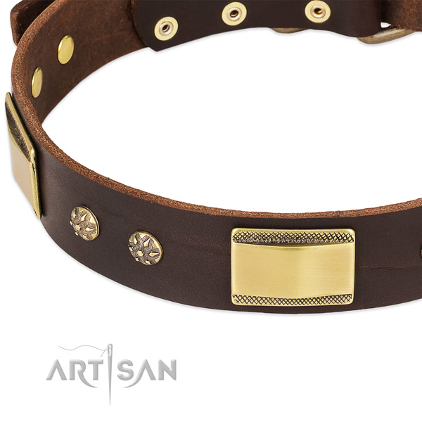Rust-proof decorations on full grain genuine leather dog collar for your dog