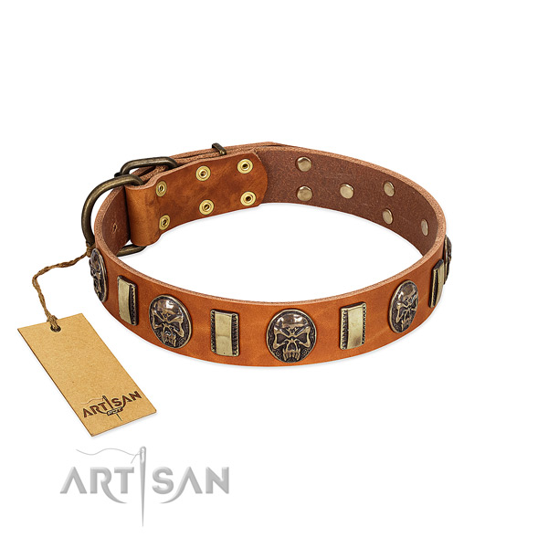 Comfortable leather dog collar for comfy wearing