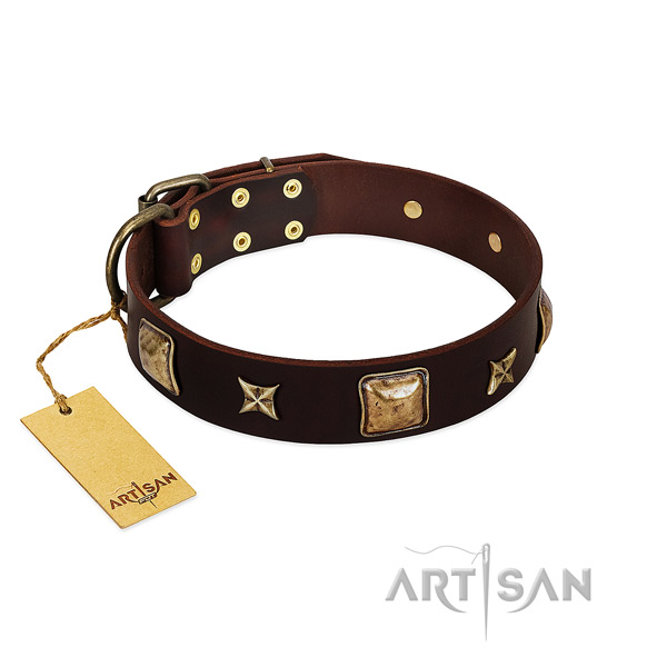 Remarkable leather collar for your pet