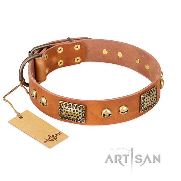 Easy wearing natural leather dog collar for daily walking your canine